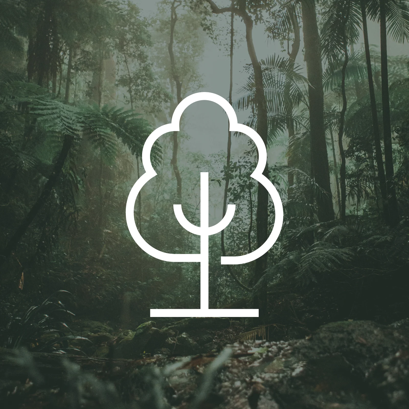 1本の木をTHG経由で植樹 (more Trees) 画像 1