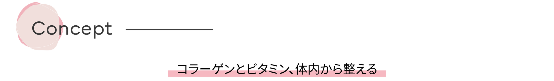 コンセプト