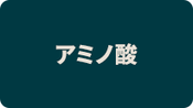 アミノ酸